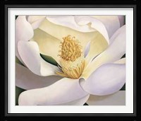 Virginia Huntington - Magnolia Size 39.75x34 Fine Art Print