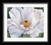 Peony Fine Art Print