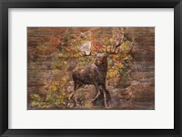 Moose Meadow Fine Art Print