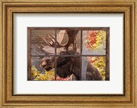 There's a Moose at the Window Fine Art Print
