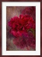 Tapestry Rose Fine Art Print