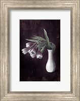 Droopy Tulips Fine Art Print