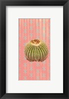 Barrel Cactus Fine Art Print