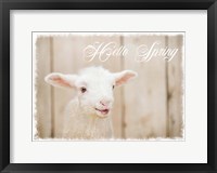 Hello Spring Lamb Fine Art Print