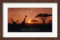 Vintage Sunset with Giraffes in Serengeti National Park, Africa Fine Art Print