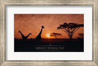 Vintage Sunset with Giraffes in Serengeti National Park, Africa Fine Art Print