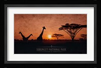 Vintage Sunset with Giraffes in Serengeti National Park, Africa Fine Art Print