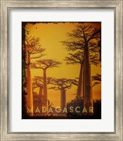 Vintage Baobab Trees in Madagascar, Africa Fine Art Print