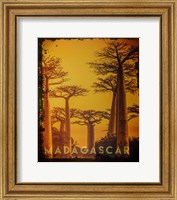 Vintage Baobab Trees in Madagascar, Africa Fine Art Print