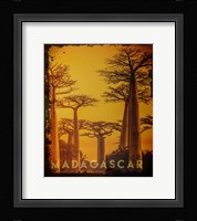 Vintage Baobab Trees in Madagascar, Africa Fine Art Print