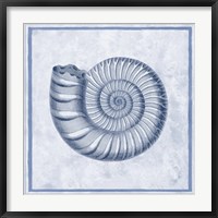 Blue Nautilus B Fine Art Print