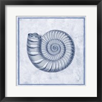 Blue Nautilus B Framed Print
