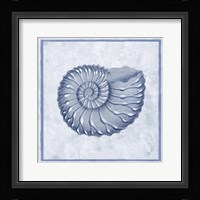 Blue Nautilus C Framed Print