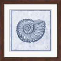 Blue Nautilus C Fine Art Print