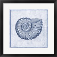 Blue Nautilus C Framed Print