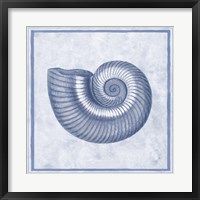 Blue Nautilus D Fine Art Print