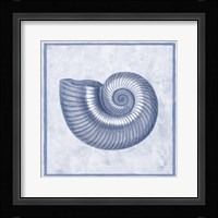 Blue Nautilus D Framed Print