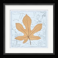 Nature's Profile A Framed Print