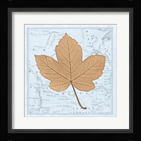 Nature's Profile C Framed Print