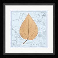 Nature's Profile D Framed Print
