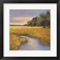 Low Country Petites B Framed Print