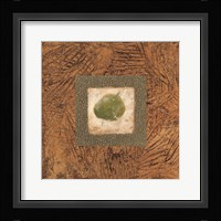 Sedona Naturals A Fine Art Print