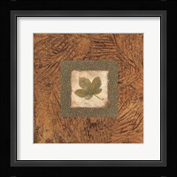 Sedona Naturals B Fine Art Print