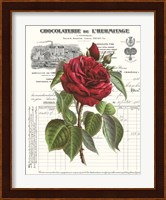 Heirloom Roses A Fine Art Print