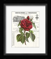 Heirloom Roses A Framed Print