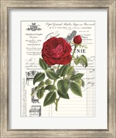 Heirloom Roses B Fine Art Print