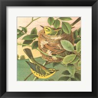 Goldfinch & Warbler B Fine Art Print