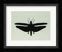 Wind Songs III Fine Art Print