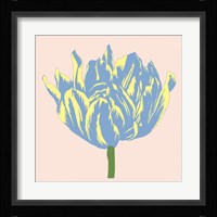 Soho Tulip I Framed Print