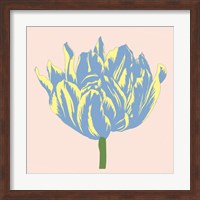 Soho Tulip I Fine Art Print