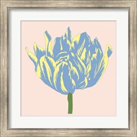 Soho Tulip I Fine Art Print