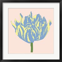 Soho Tulip I Framed Print