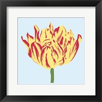 Soho Tulip II Fine Art Print