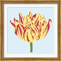 Soho Tulip II Fine Art Print