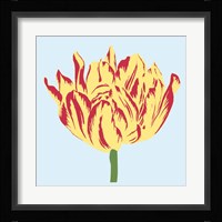 Soho Tulip II Framed Print