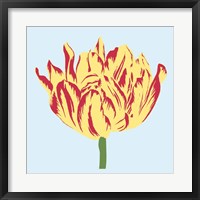 Soho Tulip II Framed Print