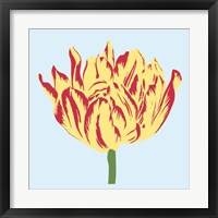 Soho Tulip II Framed Print