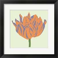 Soho Tulip III Fine Art Print