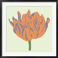 Soho Tulip III Fine Art Print