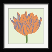 Soho Tulip III Framed Print