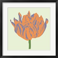 Soho Tulip III Framed Print