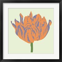 Soho Tulip III Framed Print