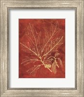 Golden Oak I Fine Art Print