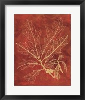 Golden Oak I Framed Print