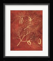 Golden Oak II Framed Print