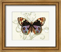Butterfly Theme I Fine Art Print